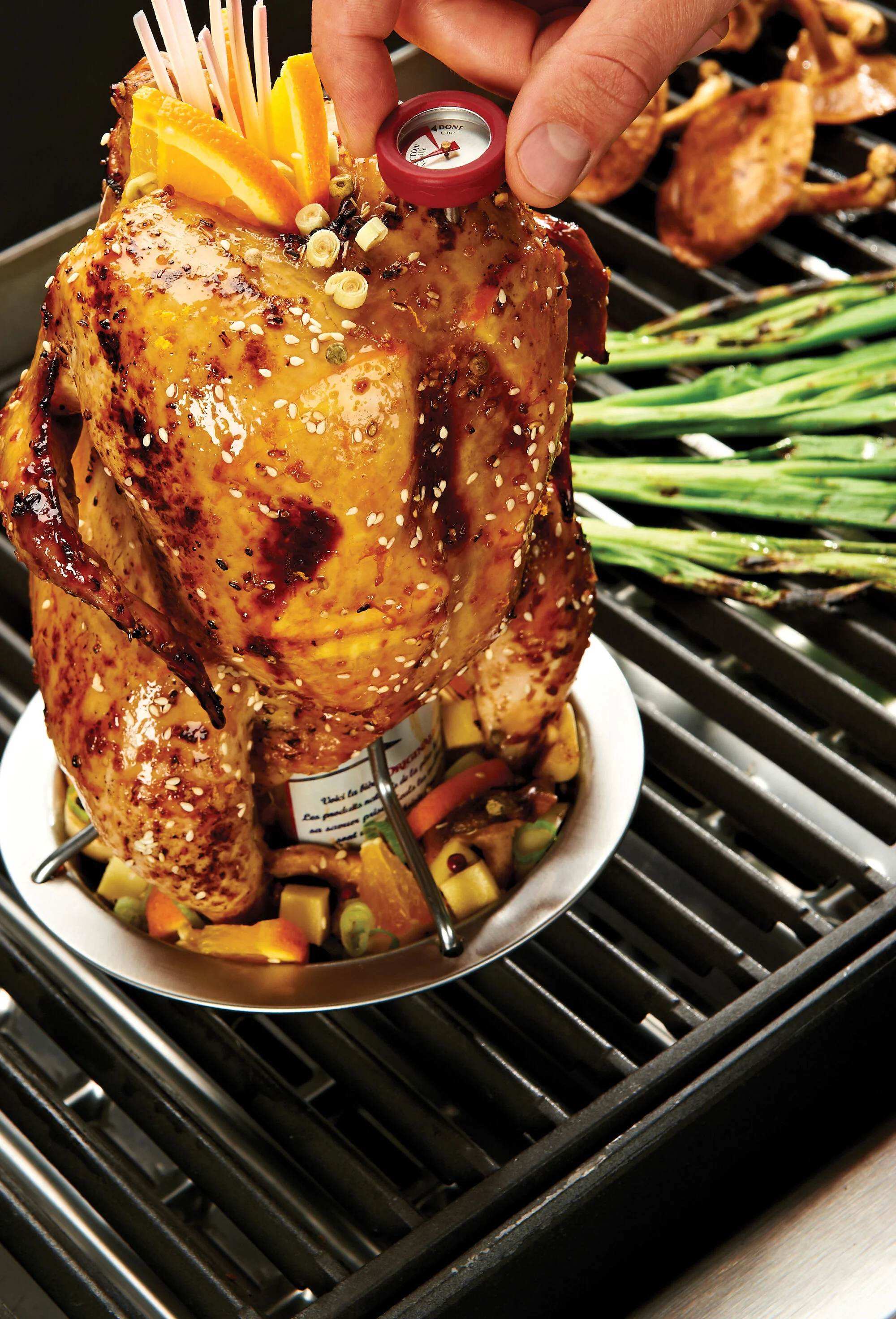 Chicken Roaster - Image 3